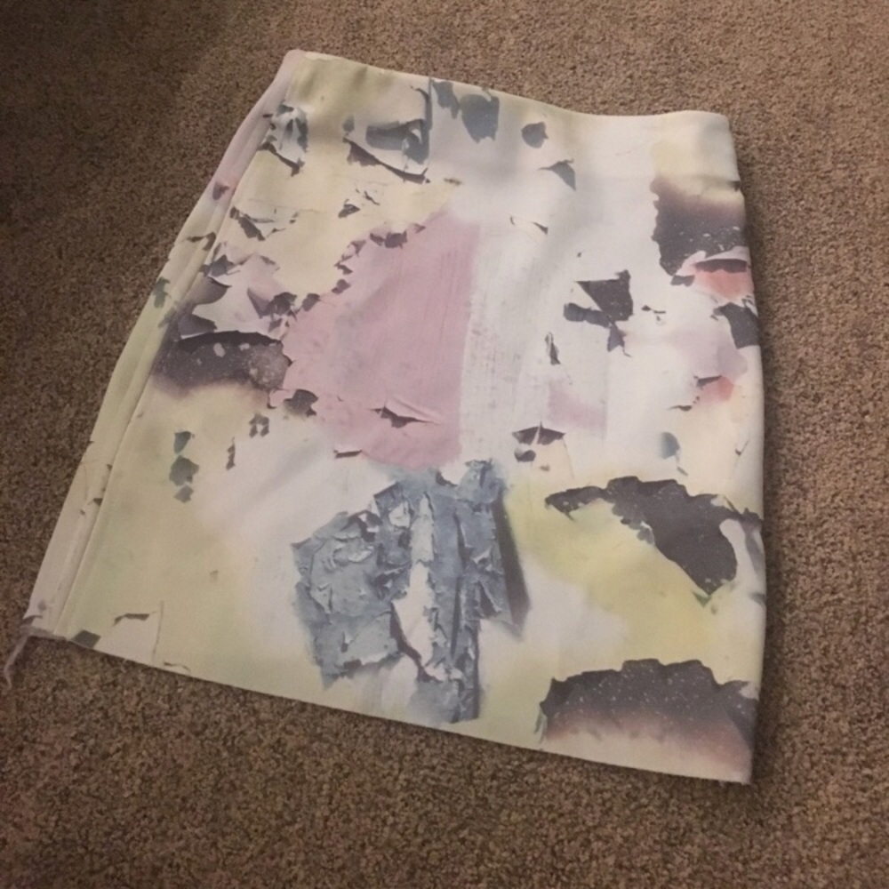 Zara Skirt